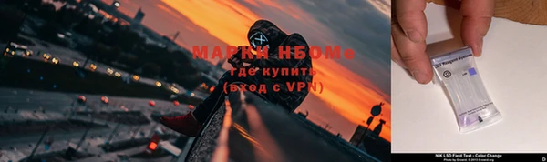 сатива Алексин