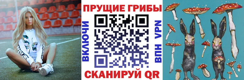 Псилоцибиновые грибы мицелий  где можно купить   Батайск 