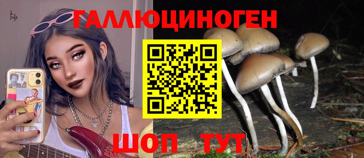 Галлюциногенные грибы Psilocybine cubensis  Галлюциногенные грибы прущие грибы  Батайск  Вход с VPN 